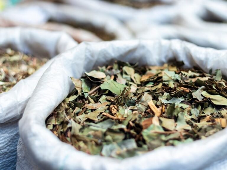 Vata Pitta Kapha Ayurvedic Herbs Jaipur