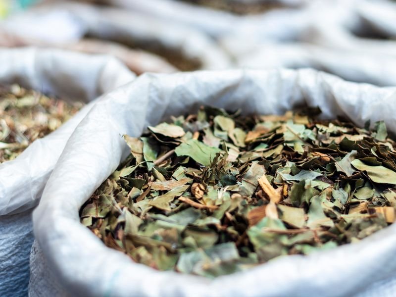 Vata Pitta Kapha Ayurvedic Herbs Jaipur