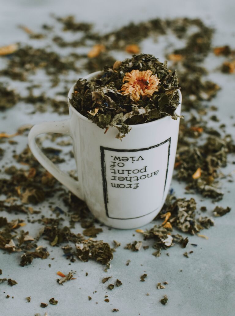 Herbal wellness tea supporting Chronic Kidney Disease (CKD) Ayurvedic supportive care in Jaipur