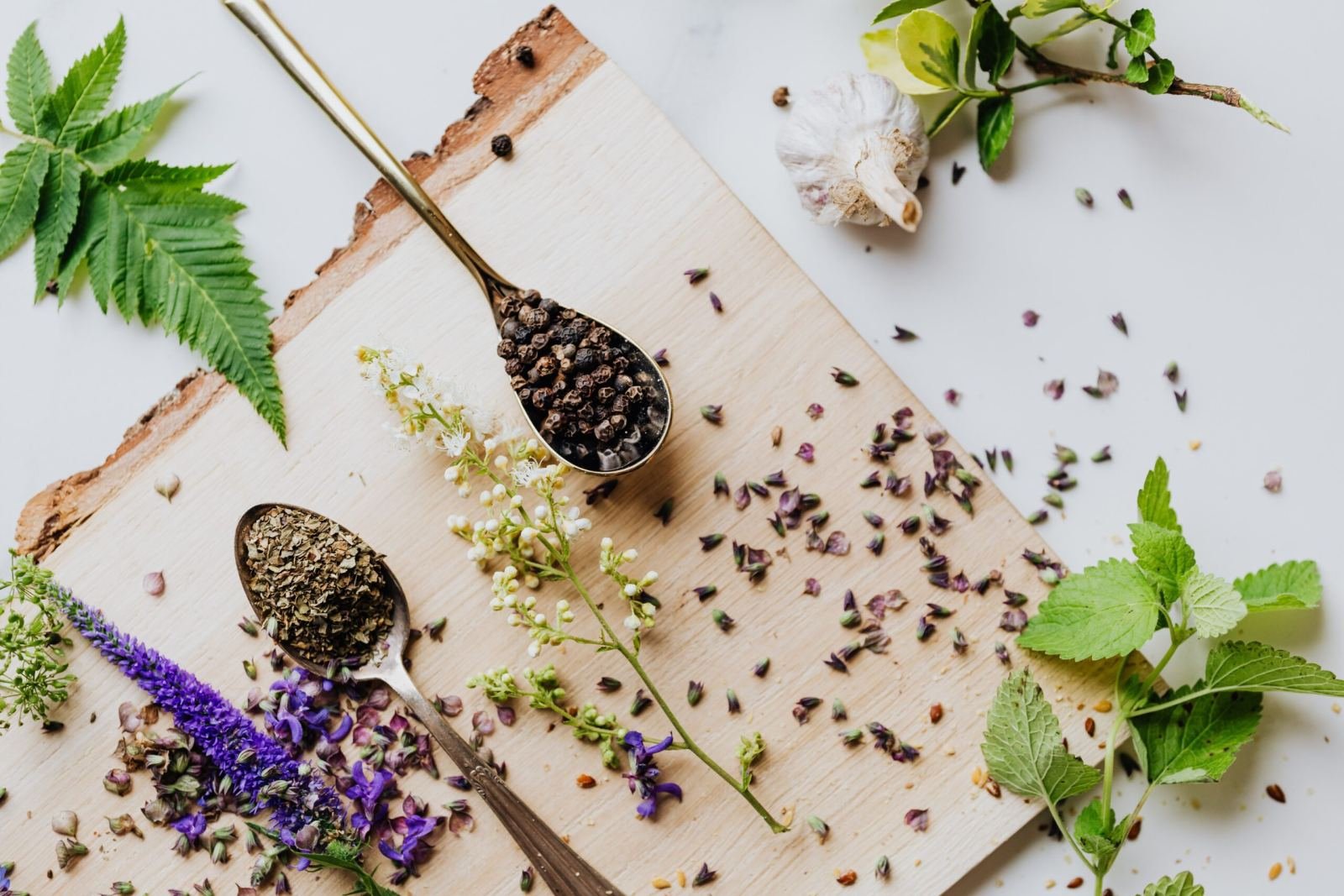High Cholesterol (Medoroga) Ayurvedic management in Jaipur - herbal heart health